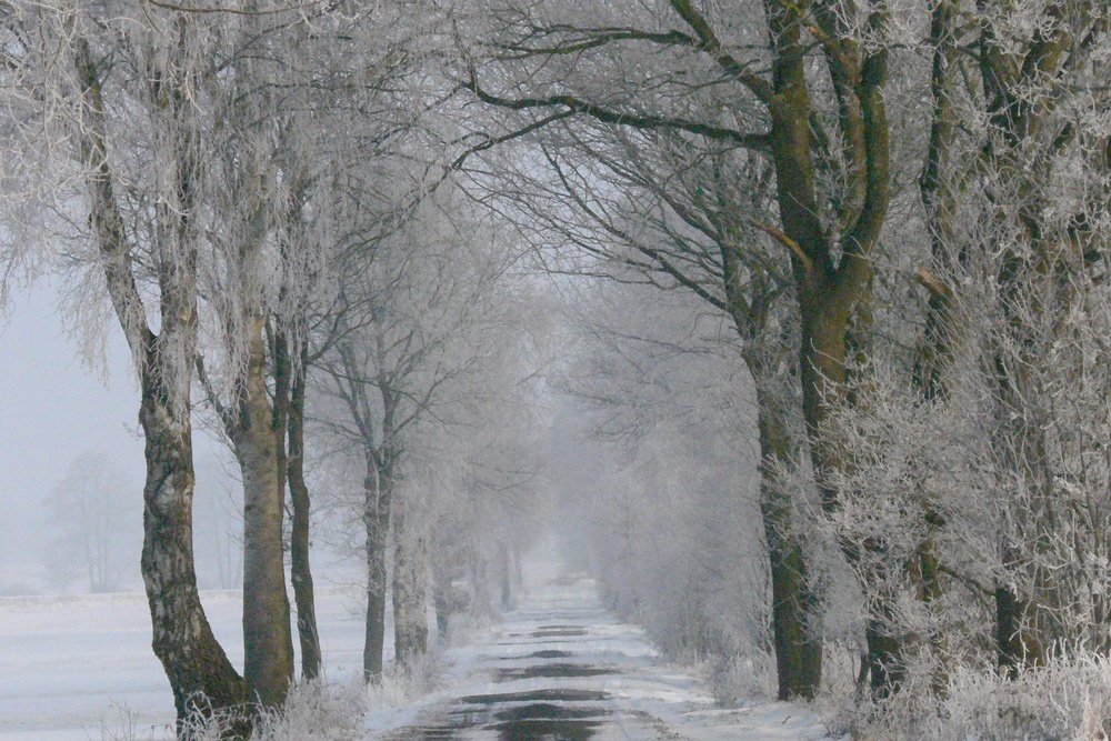 Verschneiter Feldweg