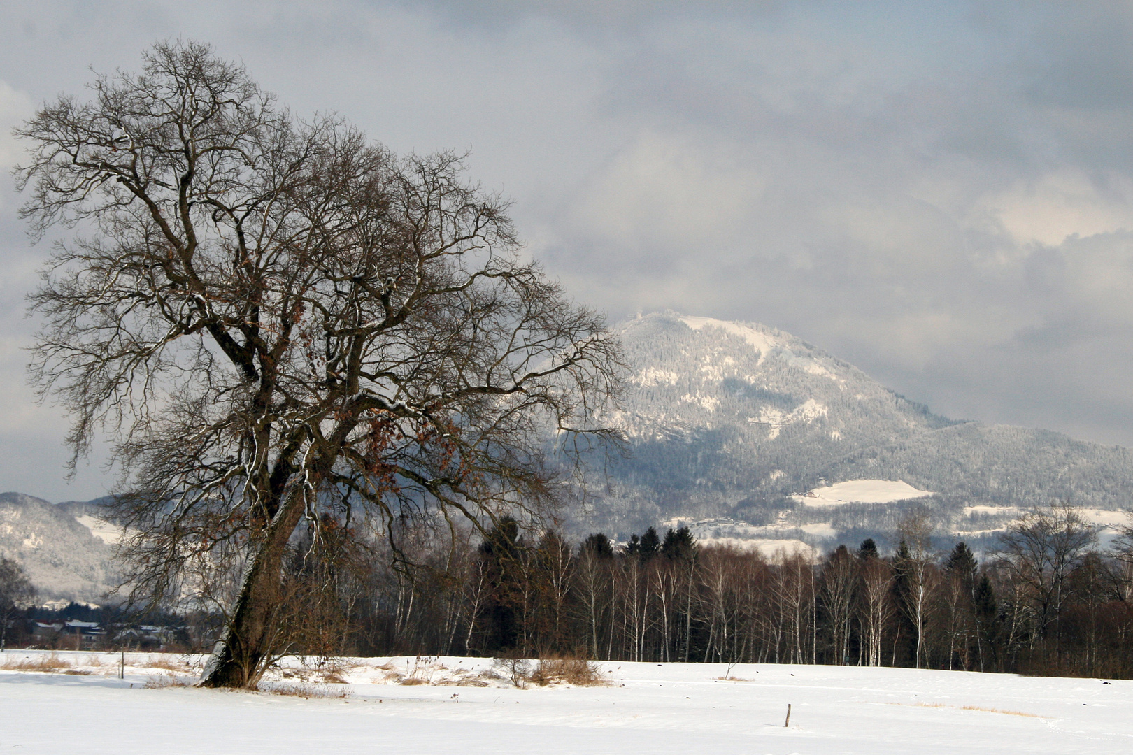 Verschneiter Gaisberg