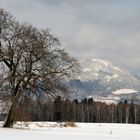 Verschneiter Gaisberg