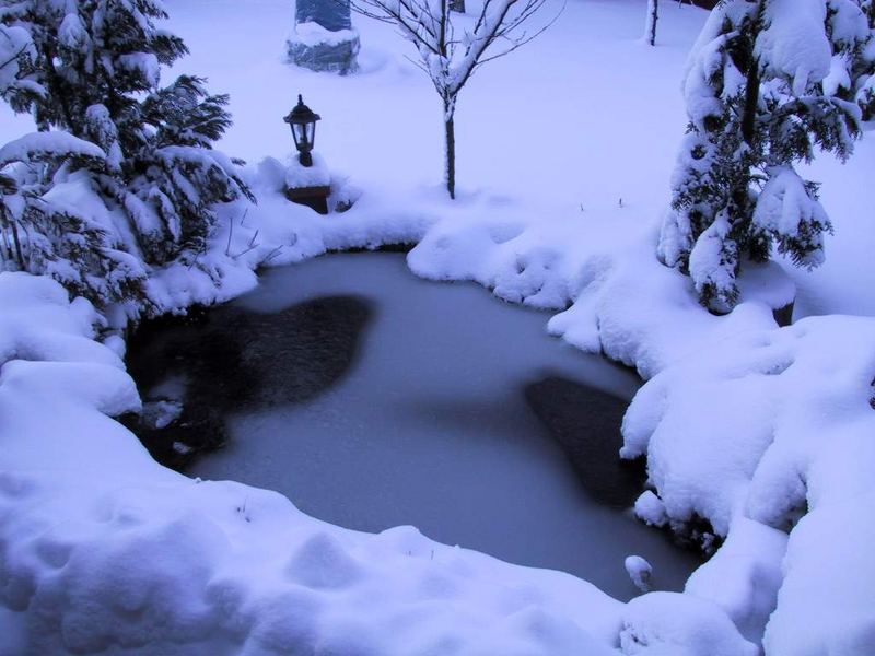 Verschneiter Garten