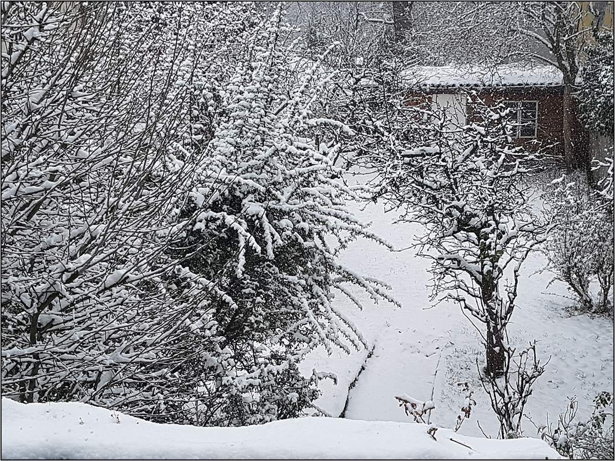 Verschneiter Garten