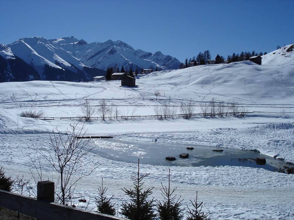 Verschneiter Hochmoorsee