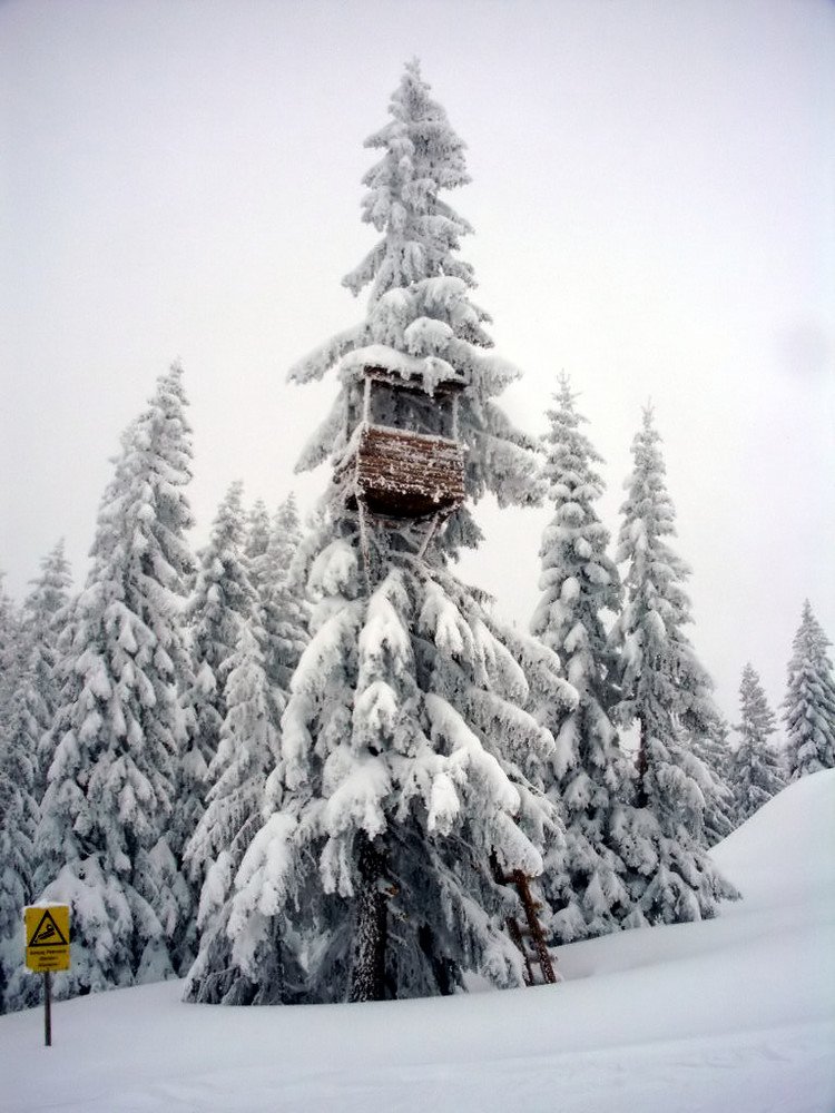 Verschneiter Hochstand neben der Skipiste