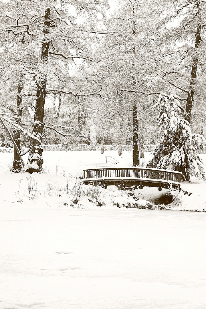 verschneiter Park