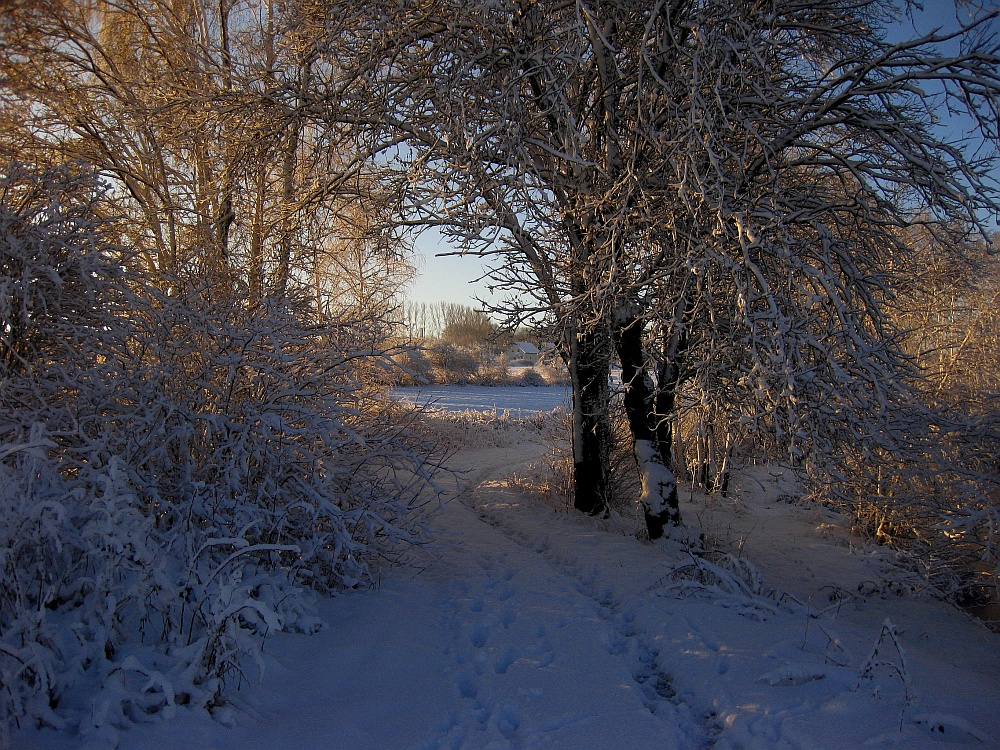 Verschneiter Pfad