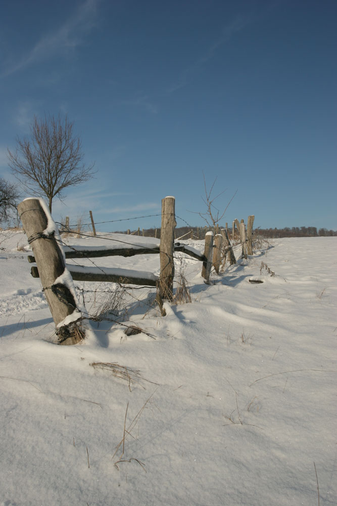 verschneiter Pfad