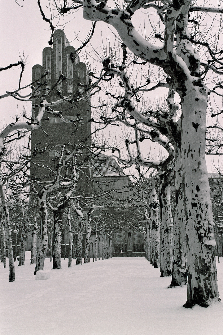 Verschneiter Platanenhain mit Hochzeitsturm - Mathildenhöhe Darmstadt (Feb. 2010)