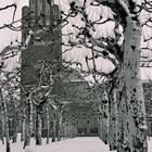 Verschneiter Platanenhain mit Hochzeitsturm - Mathildenhöhe Darmstadt (Feb. 2010)