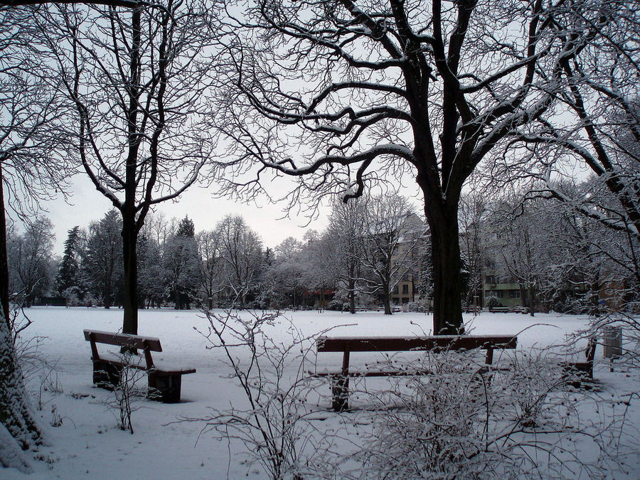 Verschneiter Schützenmattpark