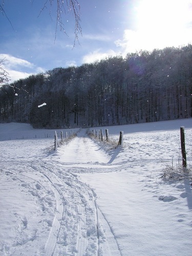 verschneiter Sonnentag