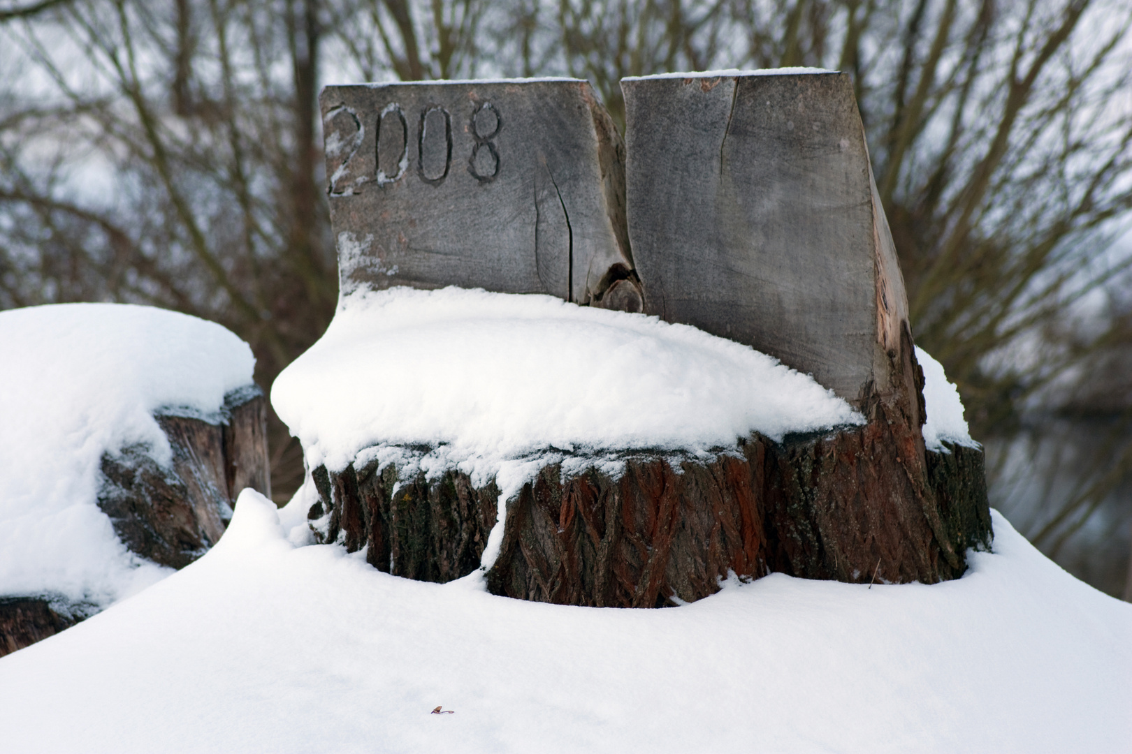 verschneiter Stumpf