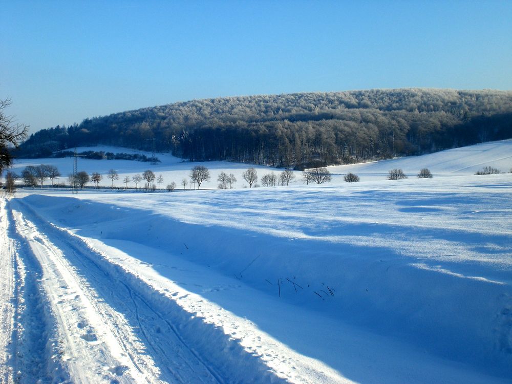 Verschneiter Sünteltalweg 2009