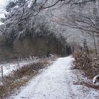 verschneiter Waldweg