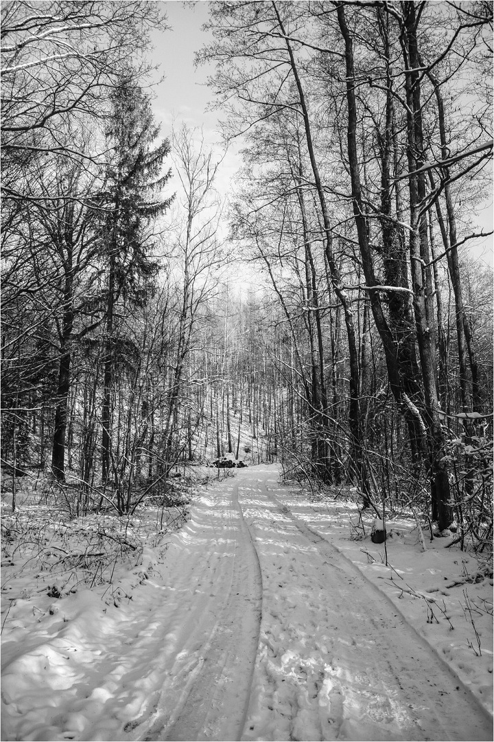 Verschneiter Waldweg