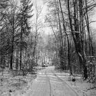 Verschneiter Waldweg