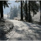 Verschneiter Waldweg