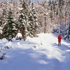 Verschneiter Waldweg