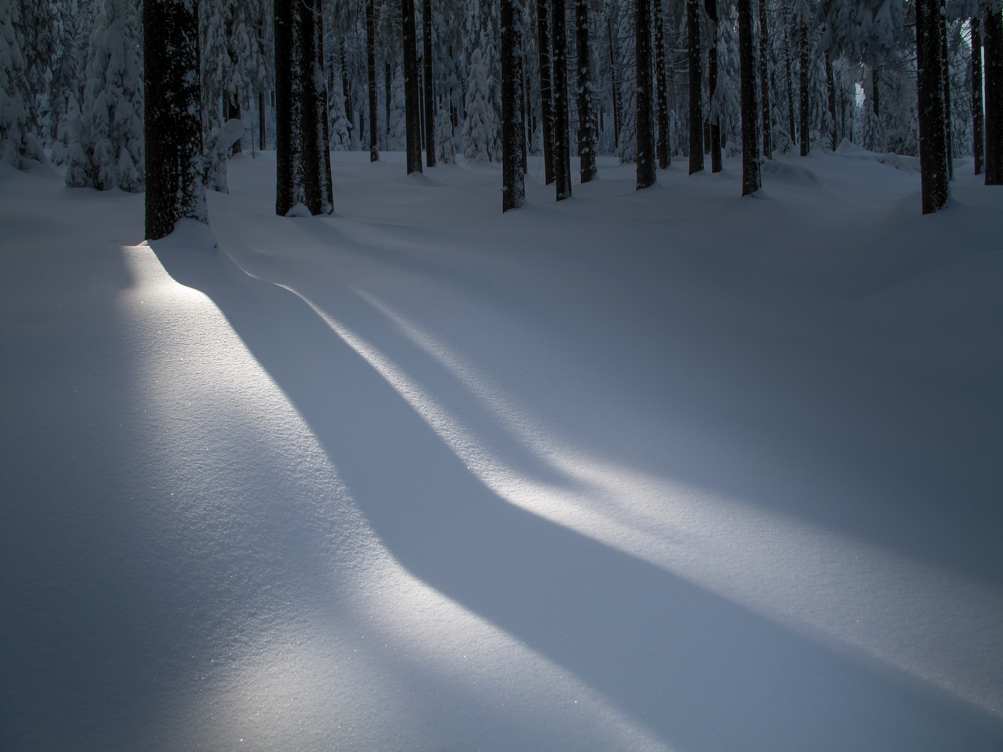 Verschneiter Waldweg