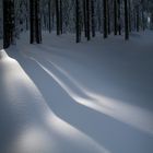 Verschneiter Waldweg