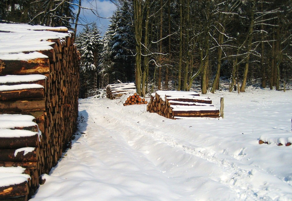 Verschneiter Waldweg