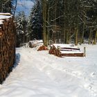 Verschneiter Waldweg