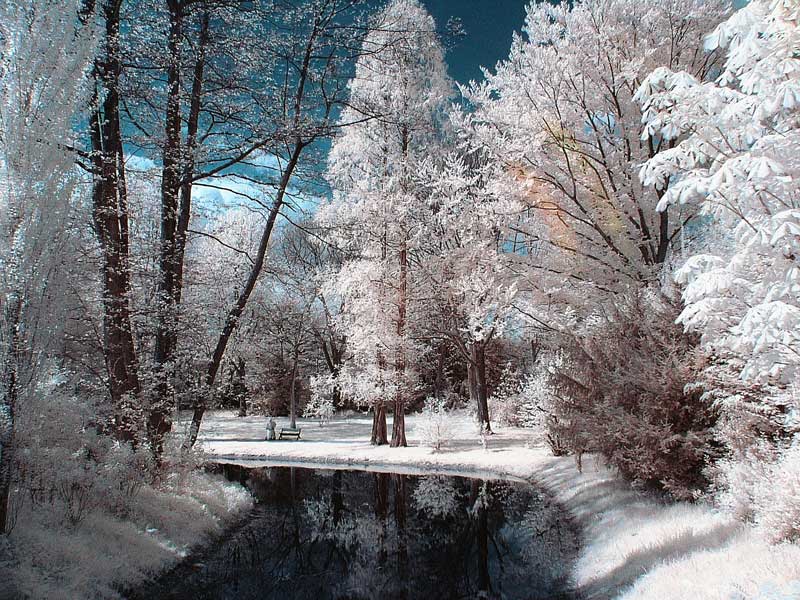 "Verschneiter" Waldweg mitten im April dank IR