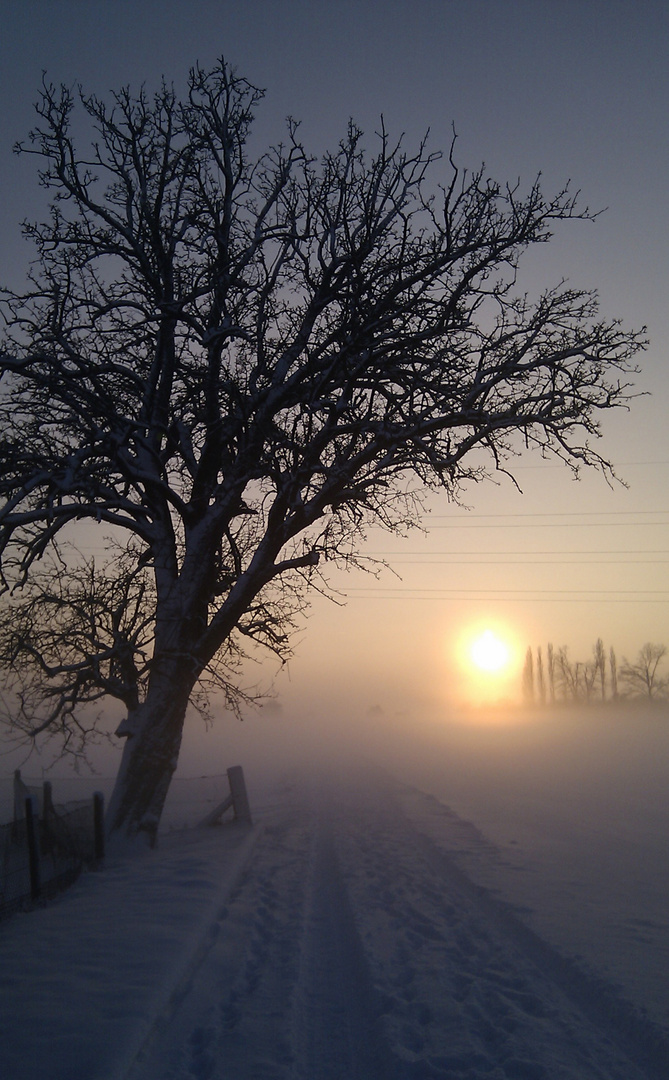 verschneiter Weg