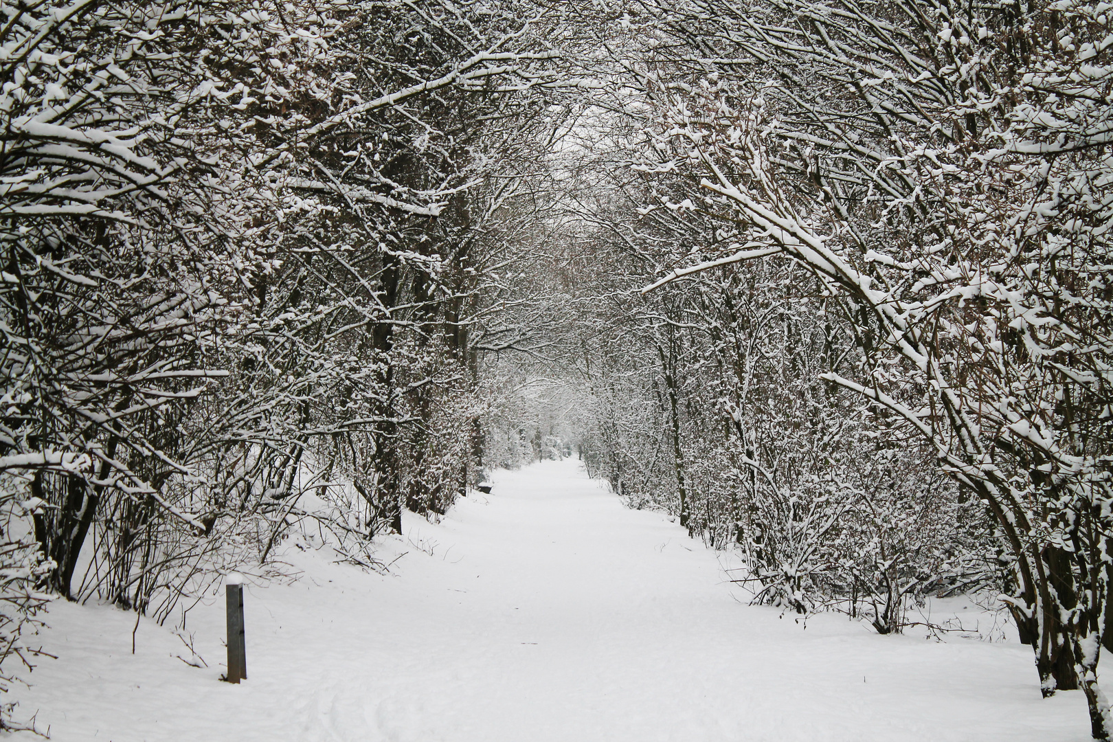 Verschneiter Weg am See