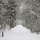 Verschneiter Weg am See