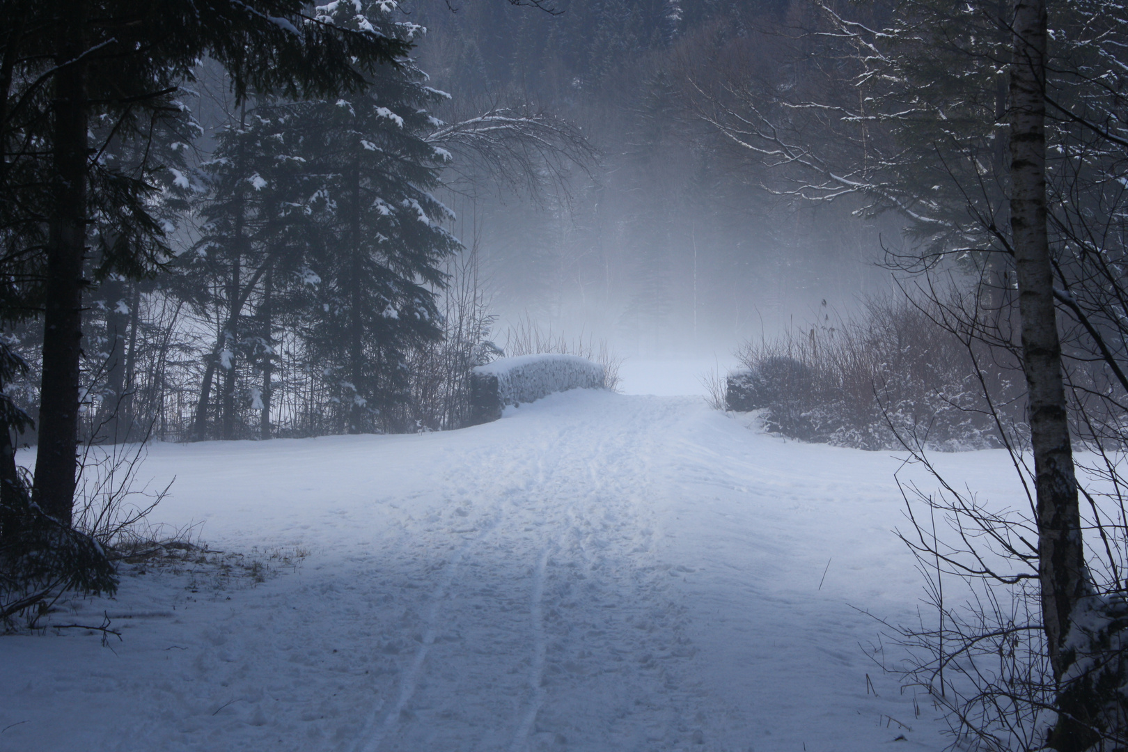 Verschneiter Weg