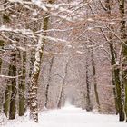 Verschneiter Weg ins Nichts