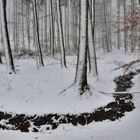 verschneiter Winterwald