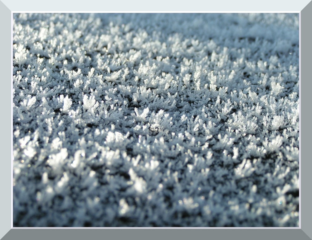 Verschneiter Winterwald von oben...