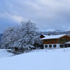 Verschneites Allgäu