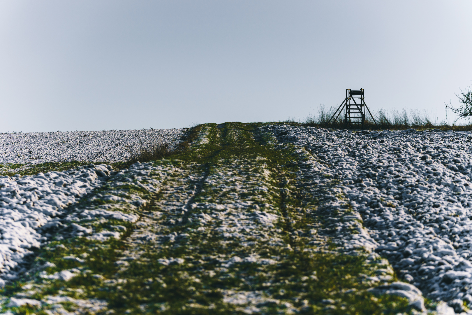 verschneites Feld mit Jägerstand