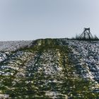 verschneites Feld mit Jägerstand