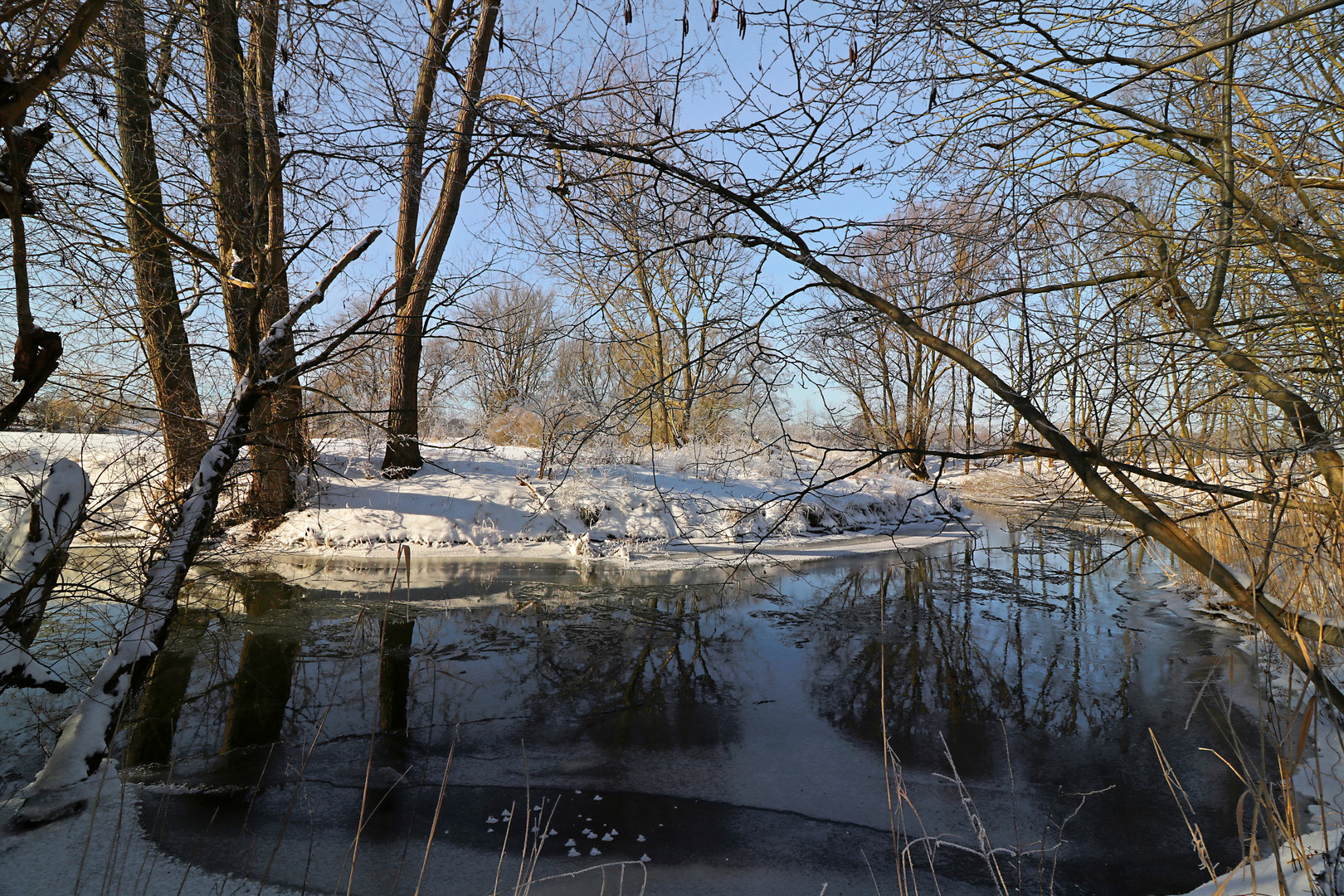 Verschneites Flussufer