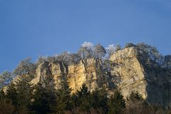 verschneites Jura in der Nähe vom Böllchen