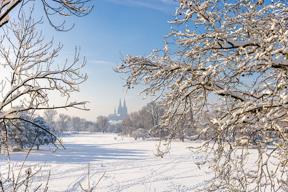 verschneites Köln
