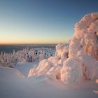 Verschneites Lappland