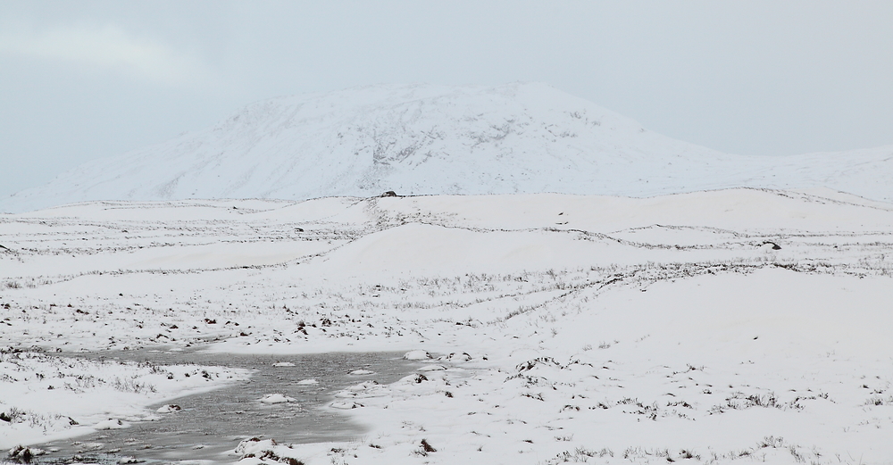 ... Verschneites Rannoch Moor ...