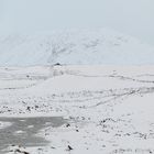 ... Verschneites Rannoch Moor ...