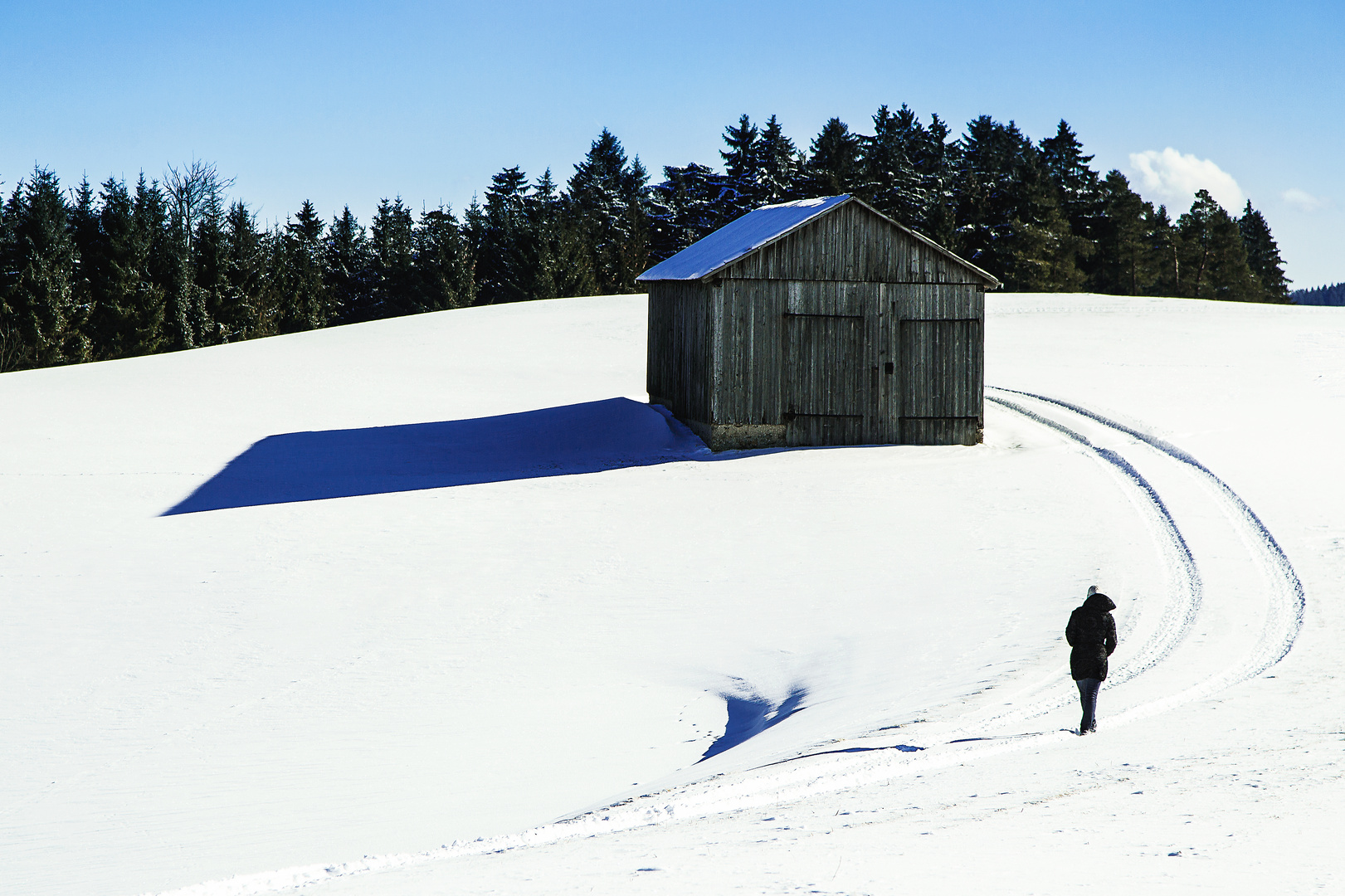 verschneites Waldviertel