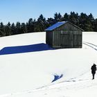 verschneites Waldviertel