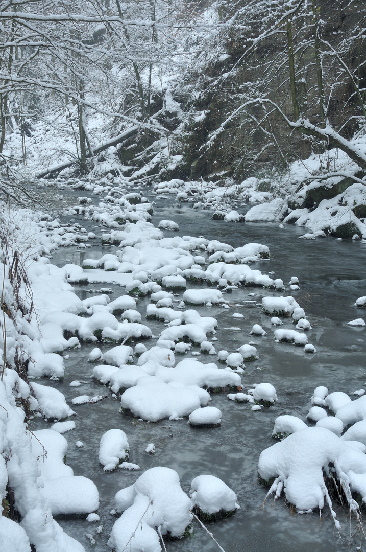 Verschneites Wesenitztal