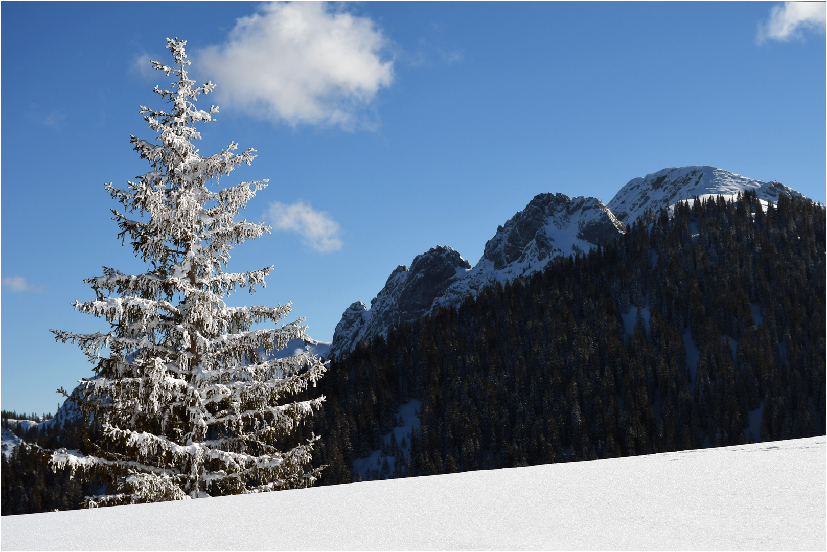 Verschobenes Weihnachtswetter