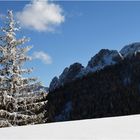 Verschobenes Weihnachtswetter