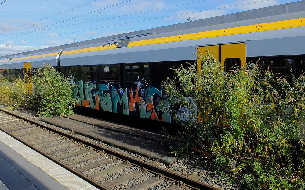 Verschönerte Wagen der Eurobahn, und die DB hat extra Sträucher gepflanzt zur Verschönerung ...