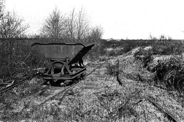 Verschrottet -Torflore im Berumerfehner Moor....