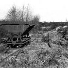 Verschrottet -Torflore im Berumerfehner Moor....